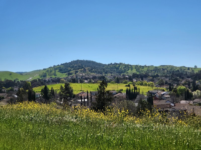 Newhall Community Park photo 5