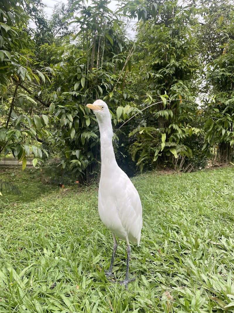 Twin Island Travel photo 4
