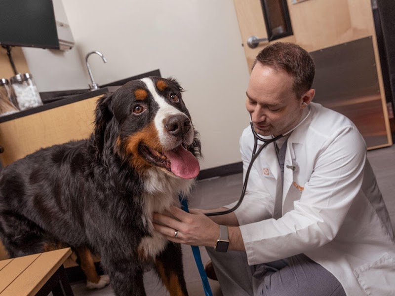 Banfield Pet Hospital photo 4
