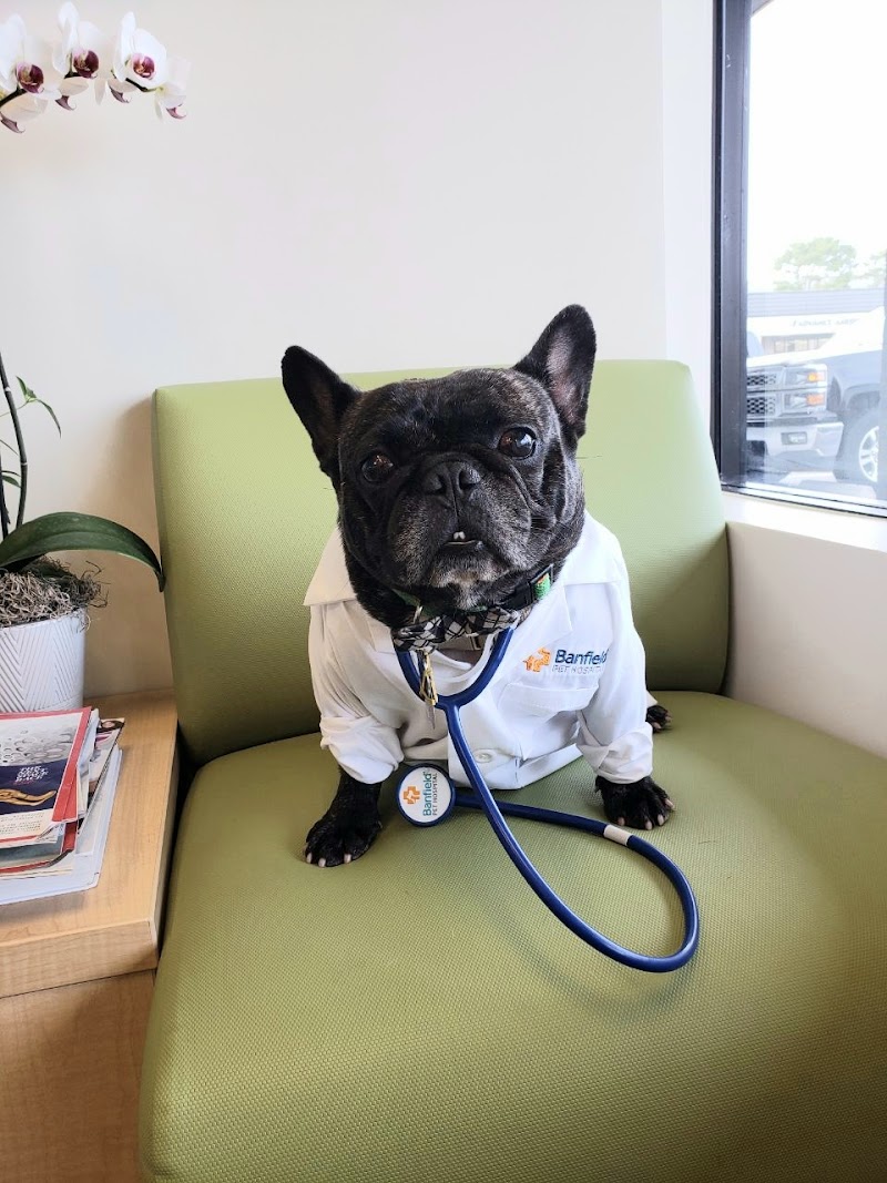 Banfield Pet Hospital photo 2
