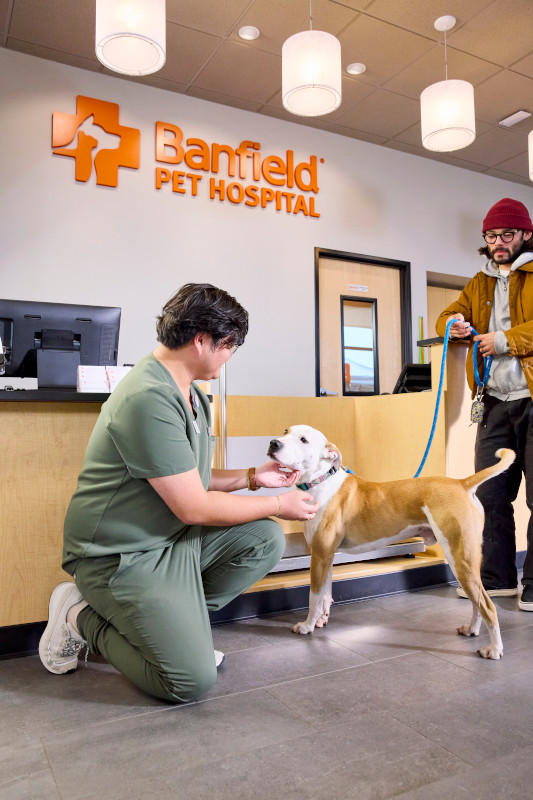 Banfield Pet Hospital photo 3