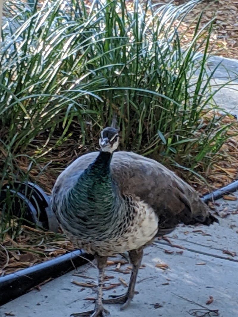 Photo of Florida Department of Environmental Protection, Southwest District