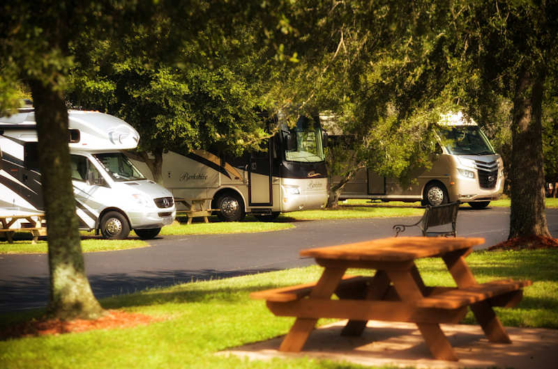 Lazydays RV Resort photo 5