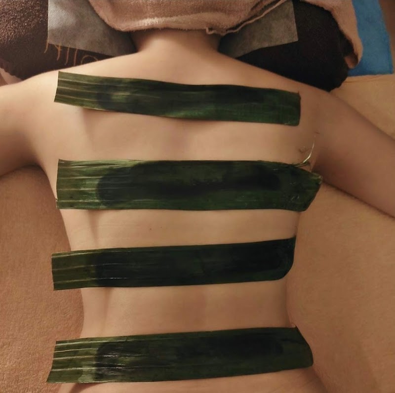 VENUS MINDBODY photo 5