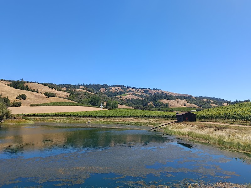 Alexander Valley Elementary photo 2