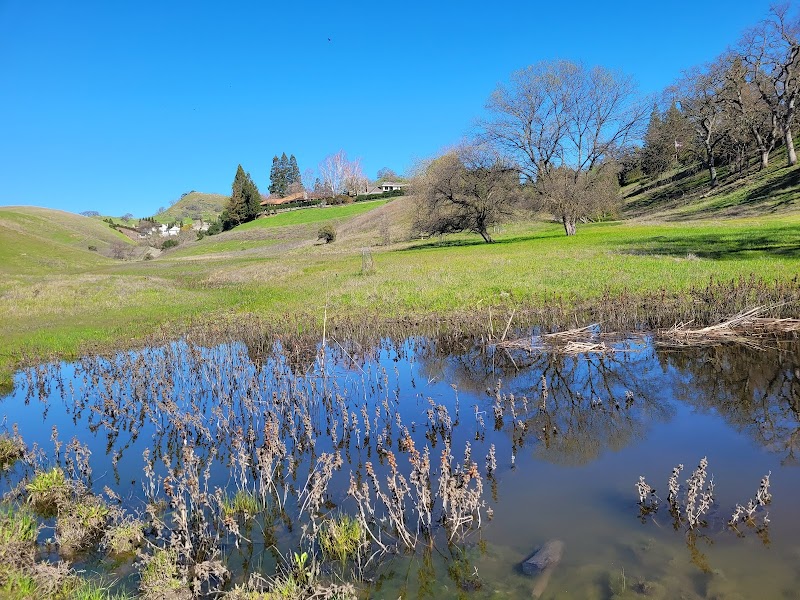 Livorna Staging Area, Diablo Foothills Regional Park photo 5