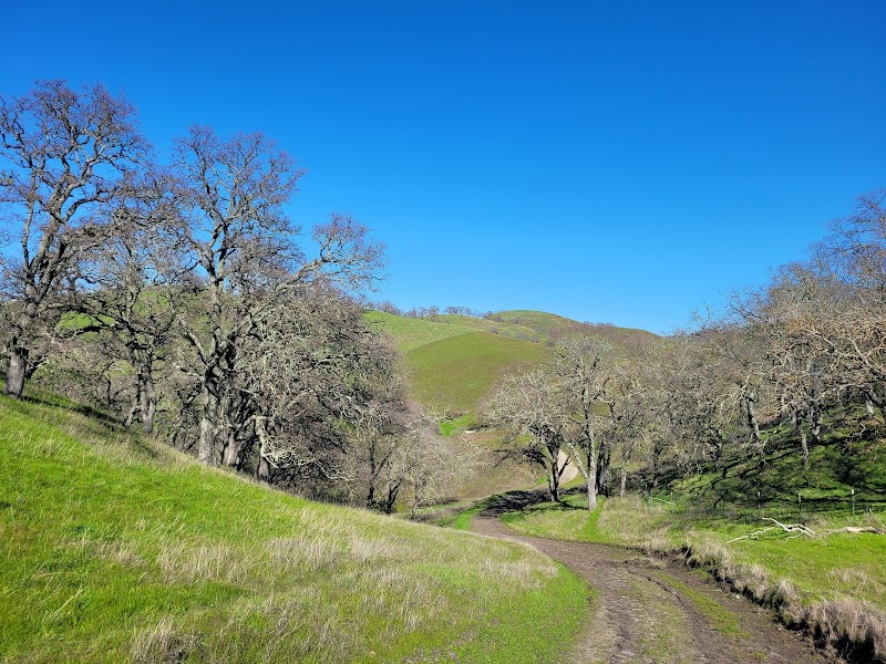 Photo of Livorna Staging Area, Diablo Foothills Regional Park