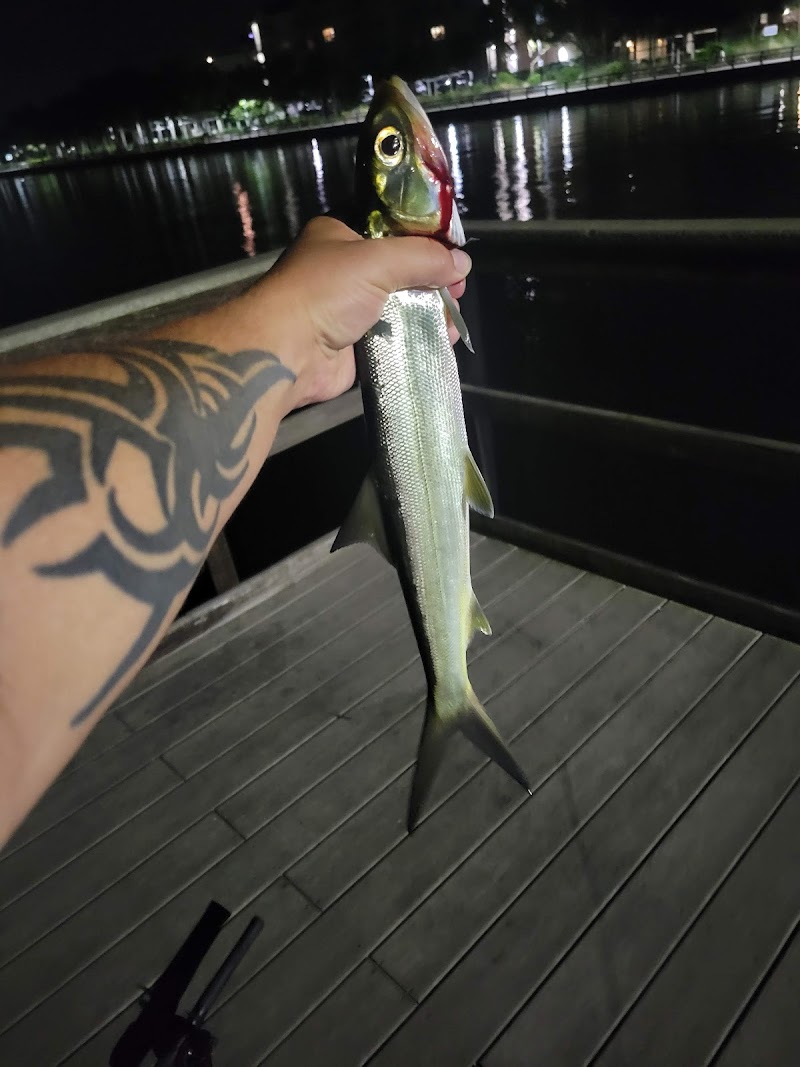 Riverwalk Fishing Pier photo 2