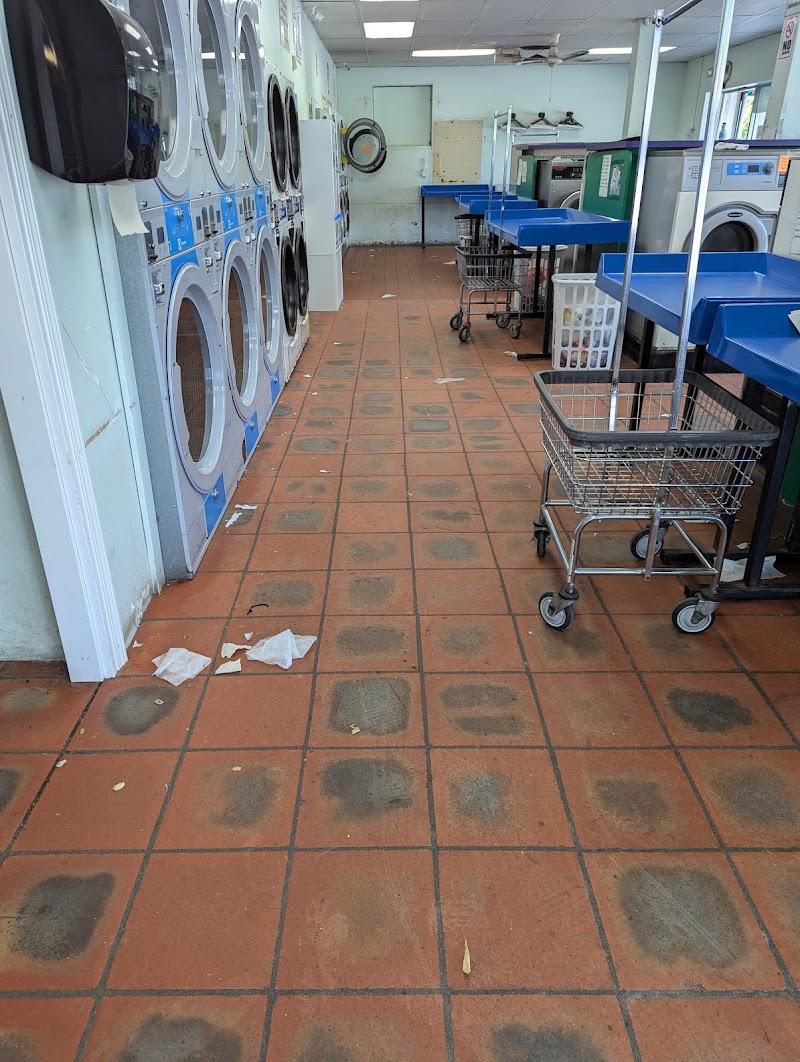 Cudney’s Launderers & Dry Cleaners photo 2