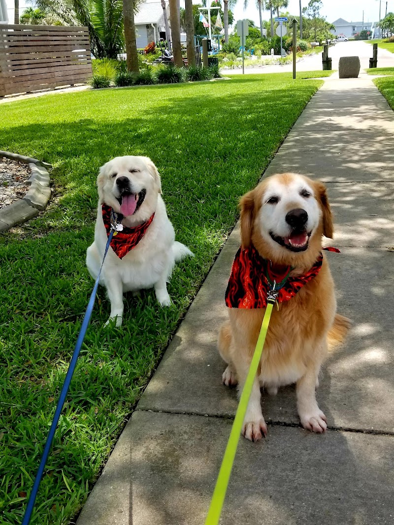 VIP Pets of the Belles photo 2