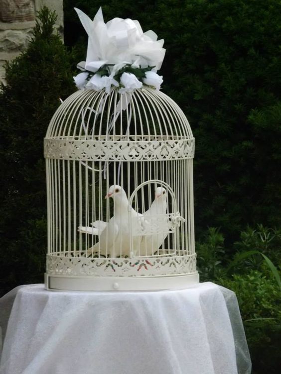 White Dove Release, J & L Wings of White photo 3
