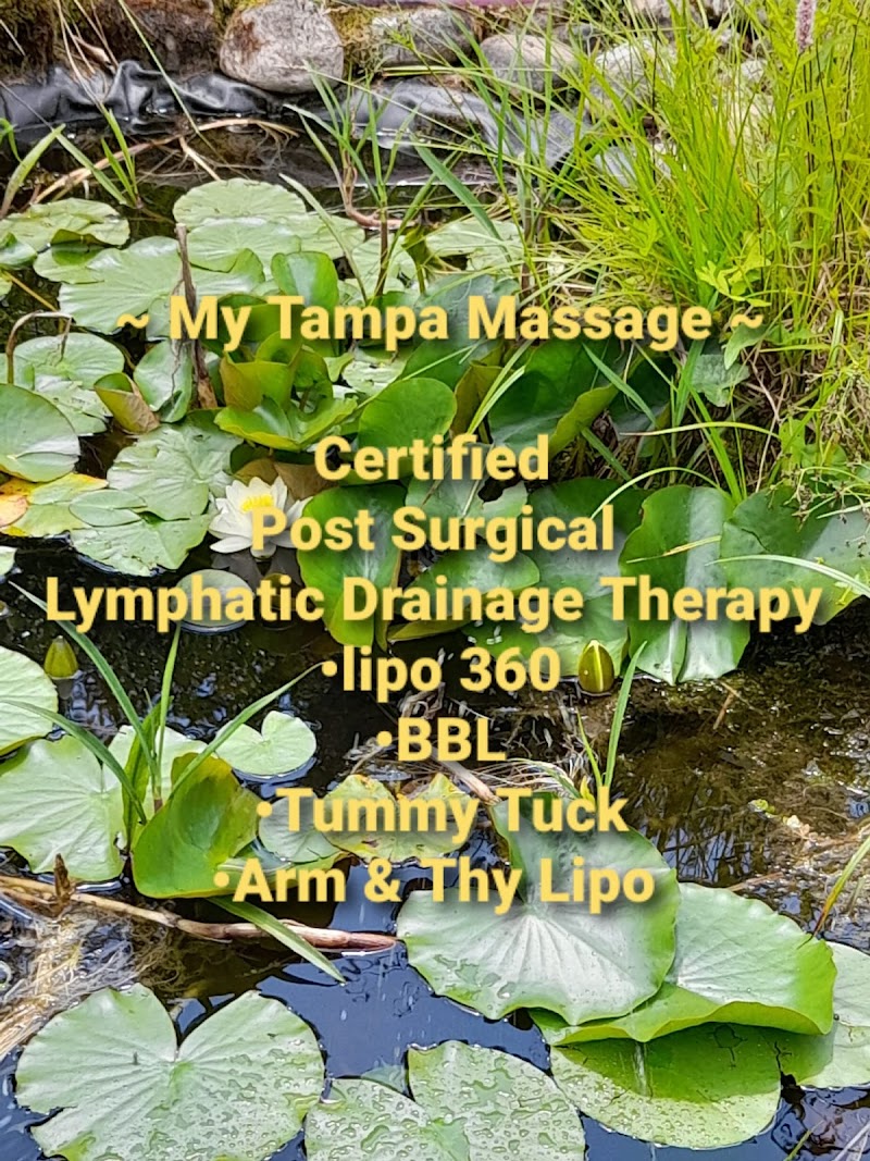 My Tampa Massage photo 5