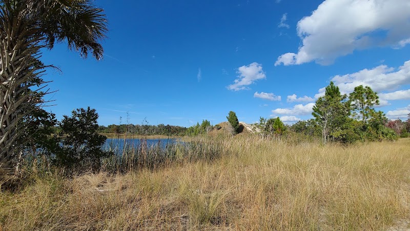 Aripeka Sandhills Preserve photo 3
