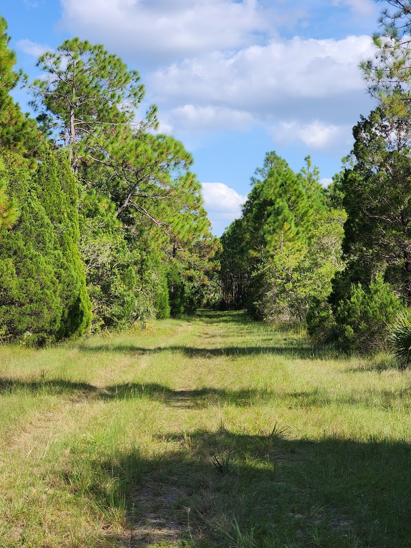 Aripeka Sandhills Preserve photo 4