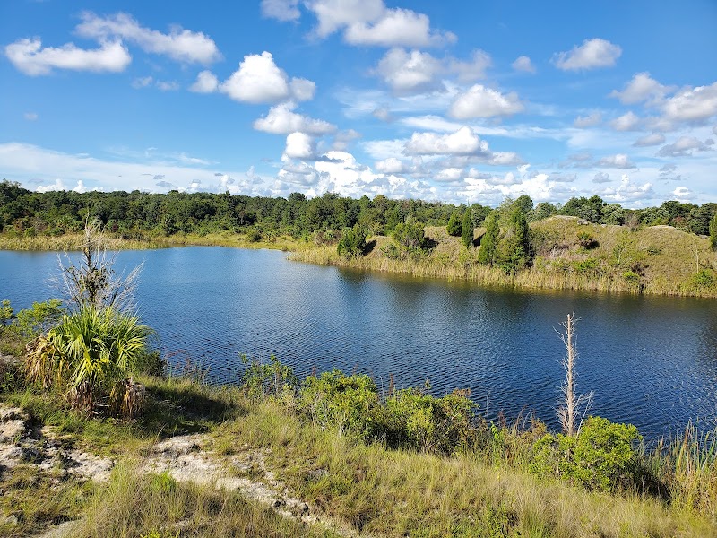 Photo of Aripeka Sandhills Preserve