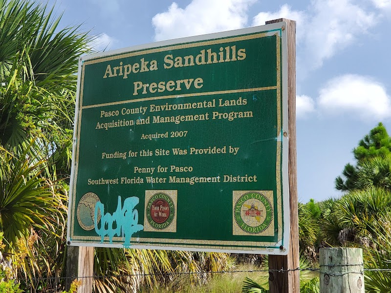 Aripeka Sandhills Preserve photo 2