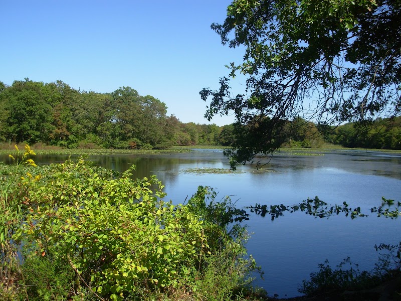 PROFESSIONAL TAX SERVICES OF CENTRAL FLORIDA, LLC photo 4