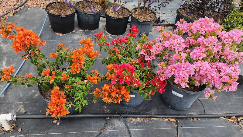 Canterbury Farms Nursery & Garden Center photo 4