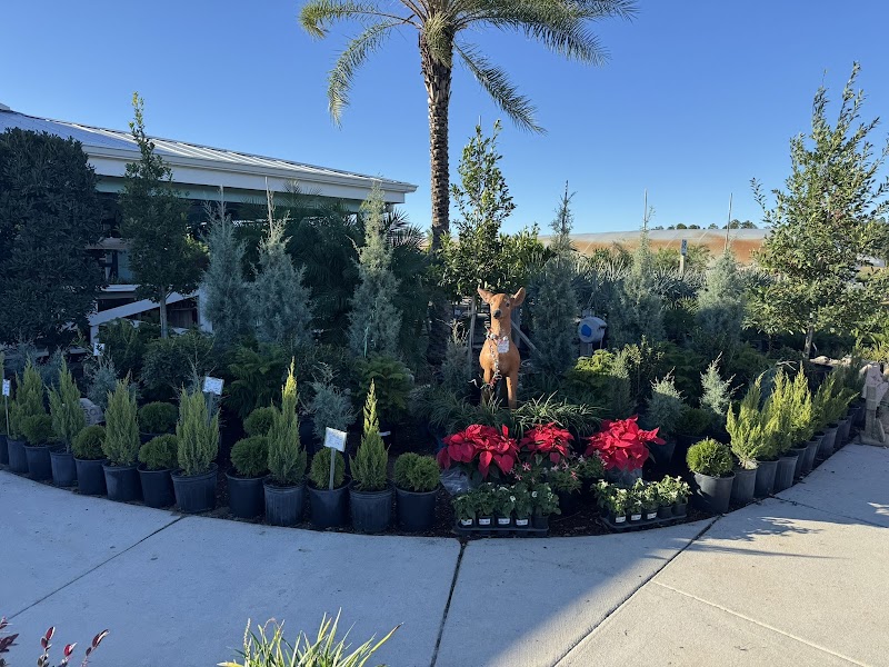 Photo of Canterbury Farms Nursery & Garden Center