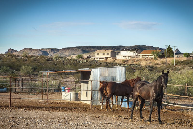 Box 8 Ranch photo 3