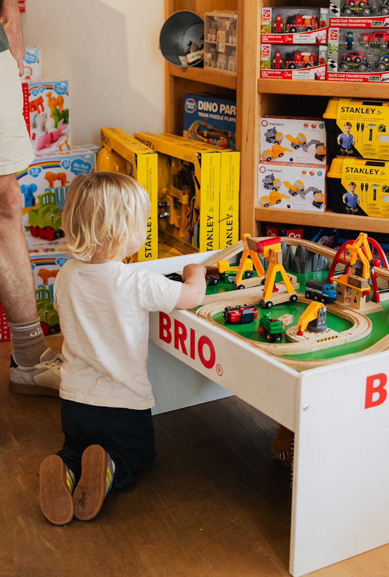 Toytopia of Marin photo 5