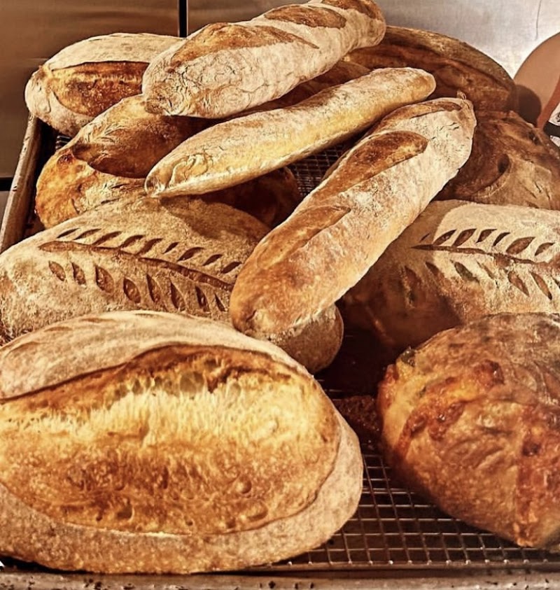 Photo of Sacred Grain Baking Company