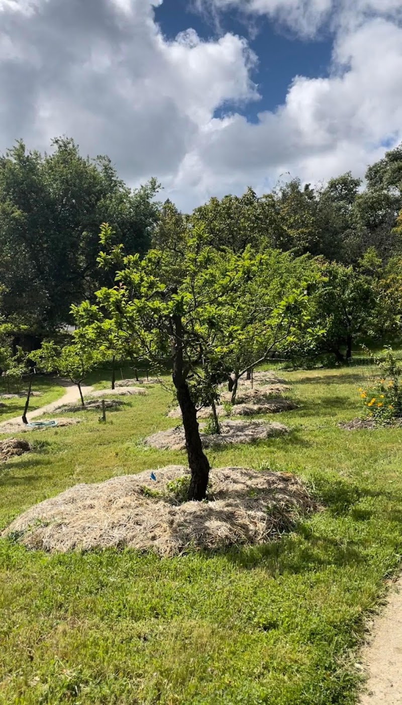 Luther Burbank’s Gold Ridge Experiment Farm photo 4