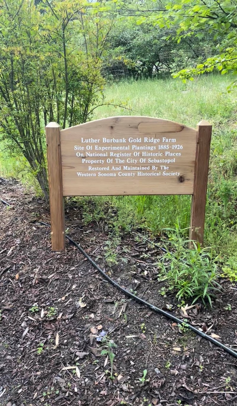 Luther Burbank’s Gold Ridge Experiment Farm photo 3