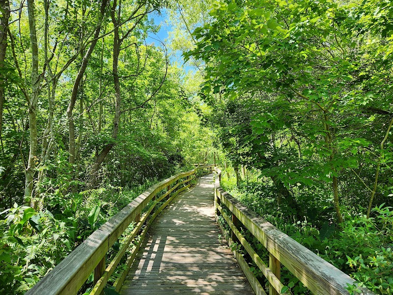 Mead Botanical Garden photo 4
