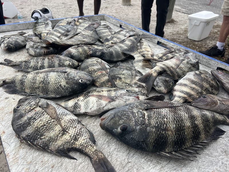 Reel memories fishing charter photo 3