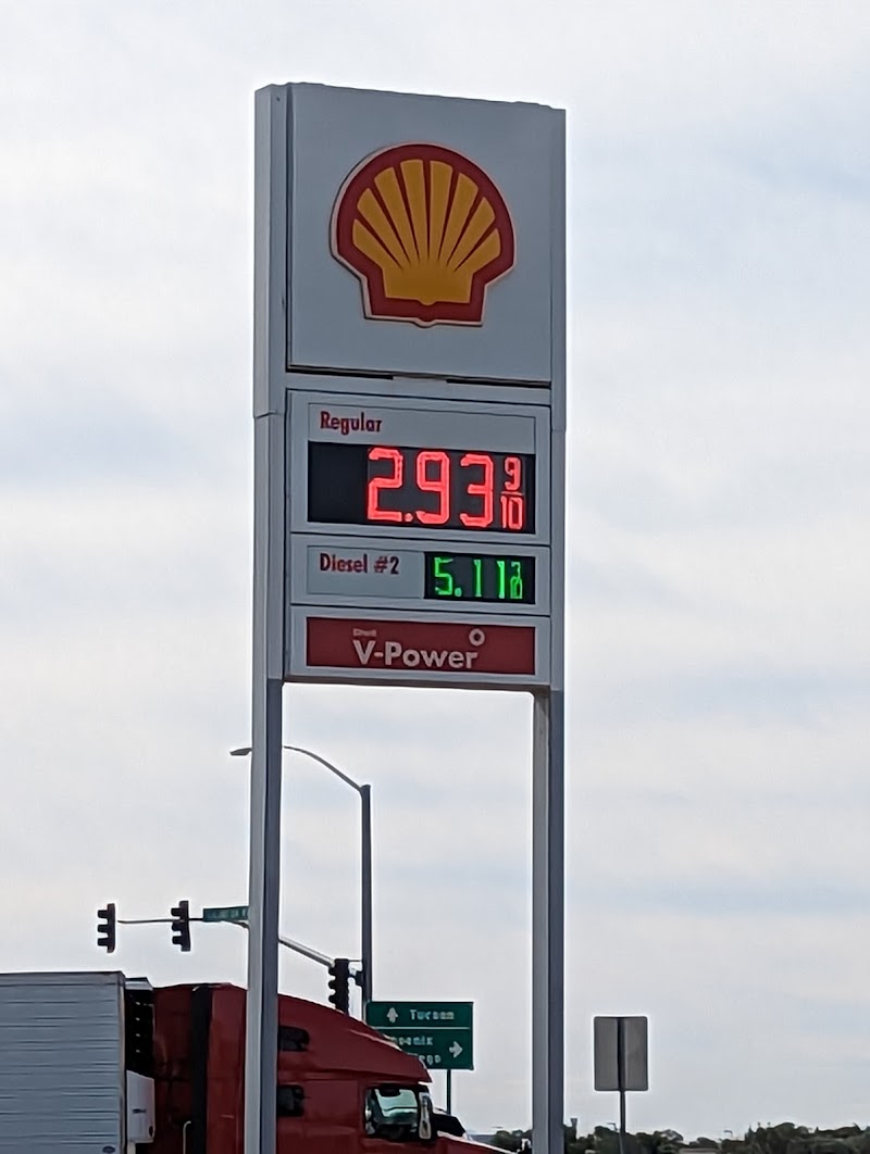 Shell photo 2