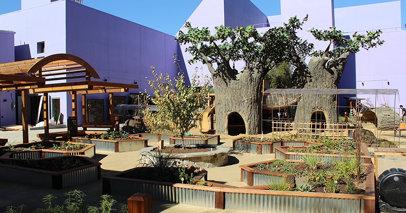 Photo of Bill's Backyard