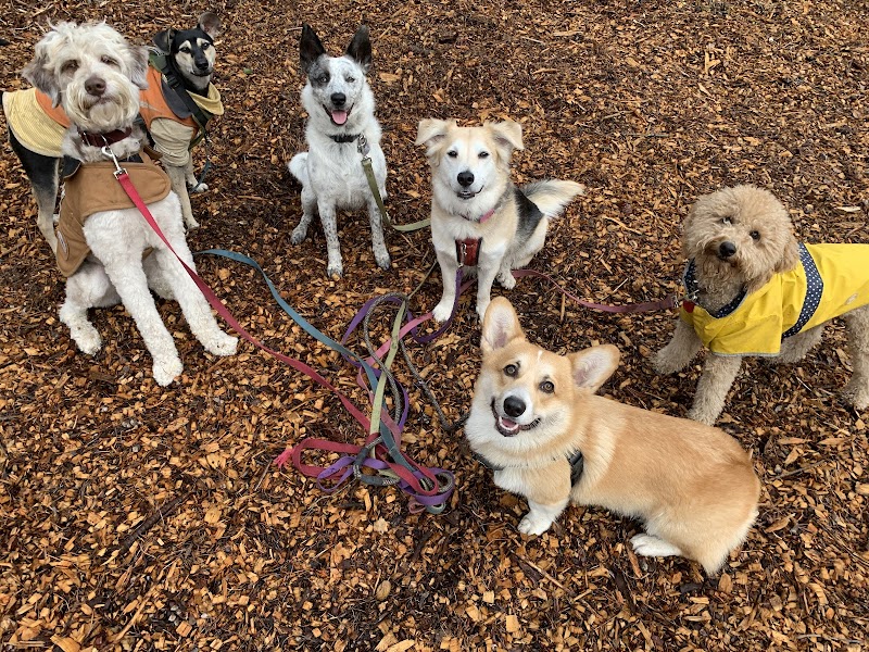 Photo of Oakland Pet Care