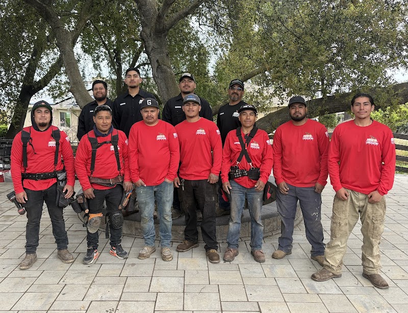 Photo of S&L Tree Service