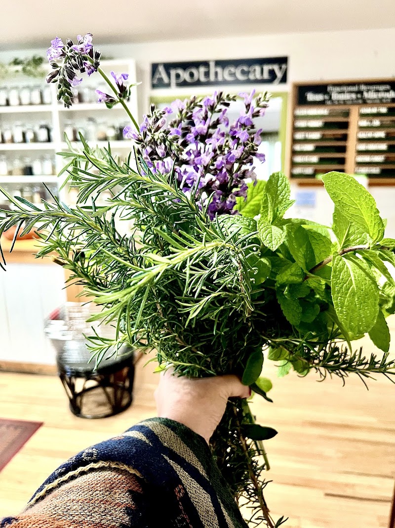 Tangled Root Botanicals photo 2