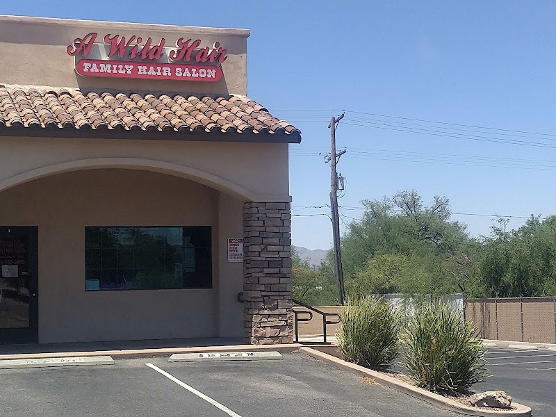 Photo of A Wild Hair Family Hair Salon