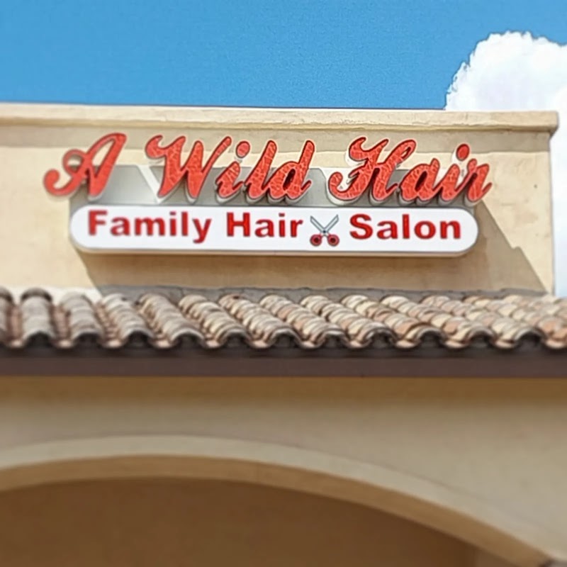 A Wild Hair Family Hair Salon photo 2
