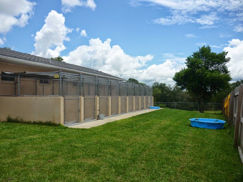 Panacea Pet Resort photo 2