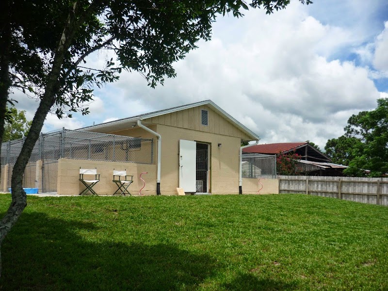 Panacea Pet Resort photo 3