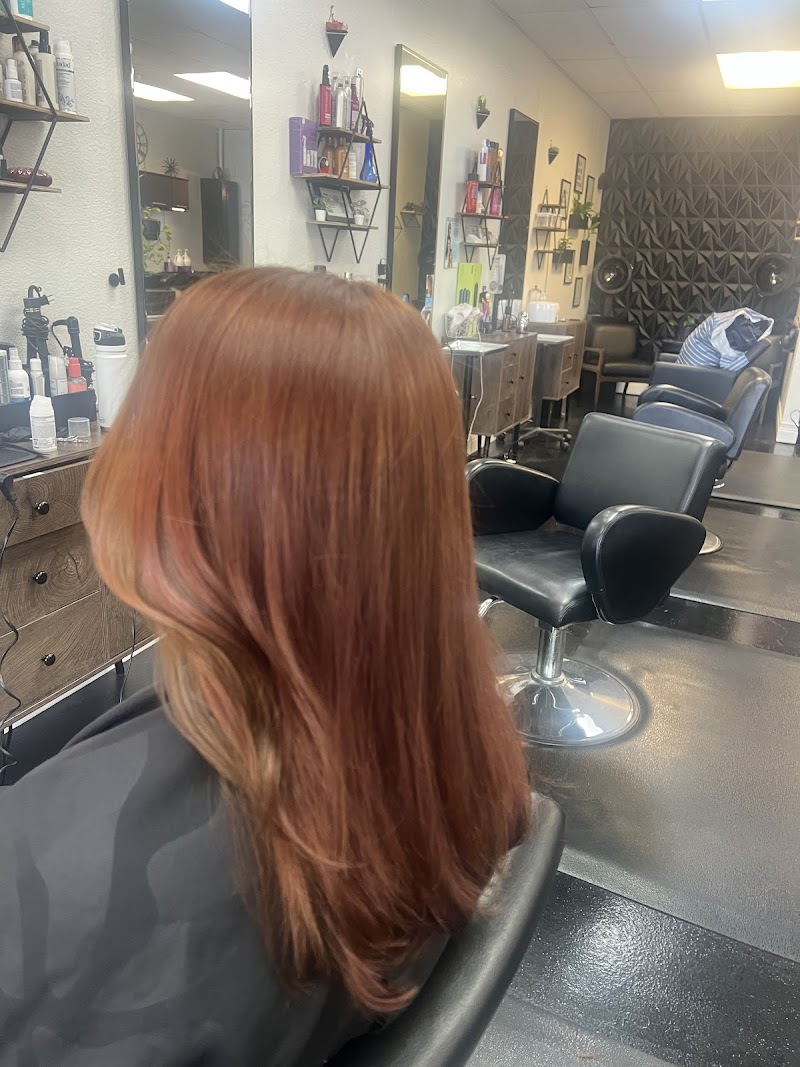 Studio 7 Hair Co. / Champagne Hair Lounge photo 5