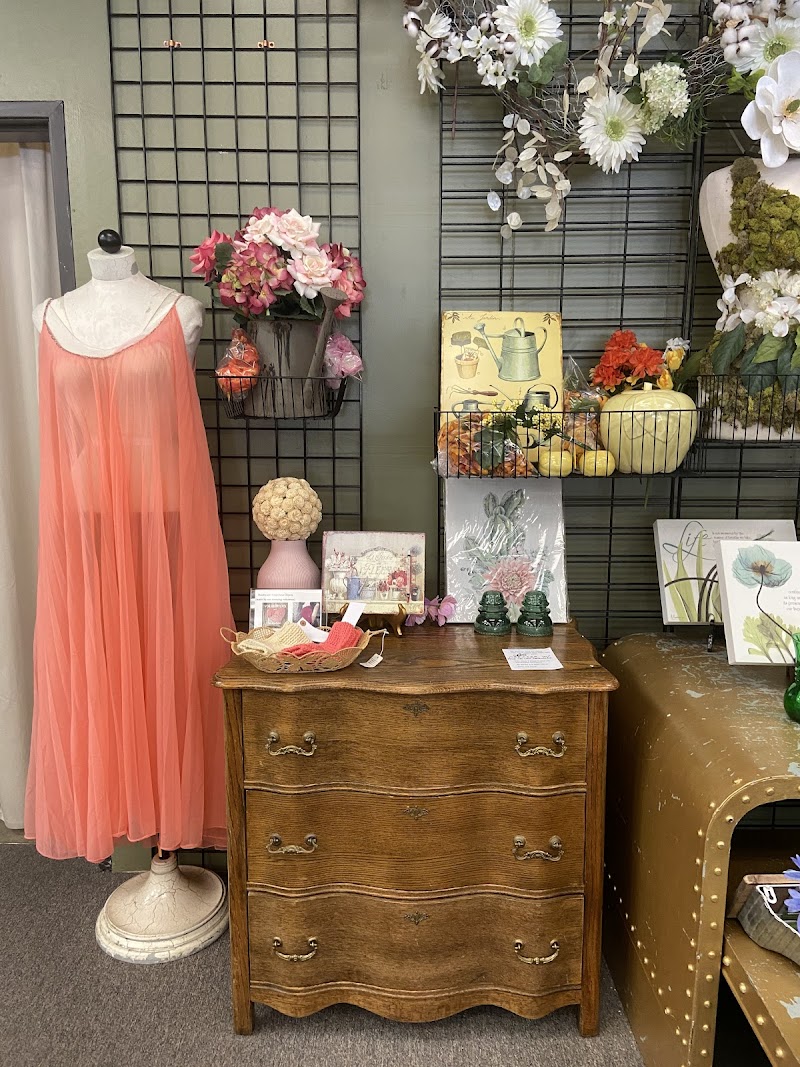 Sutter Hospice Thrift Store - Sebastopol photo 3