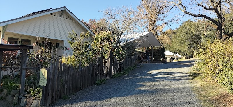 Porter Creek Vineyards photo 5