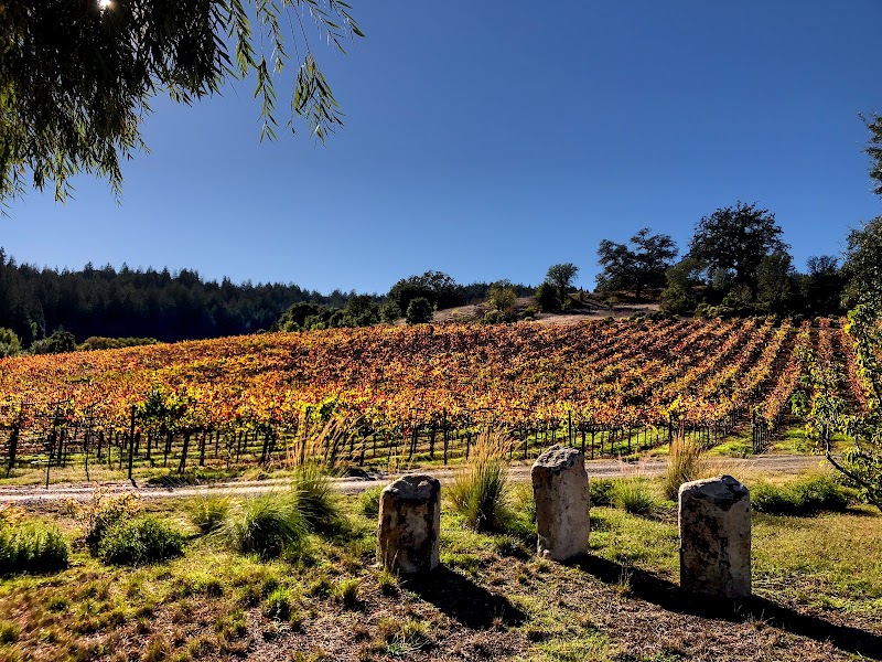 Porter Creek Vineyards photo 3