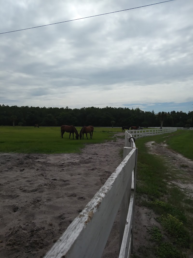 Photo of Bay Tree Farm
