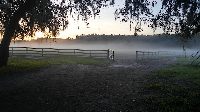 Bay Tree Farm photo 4