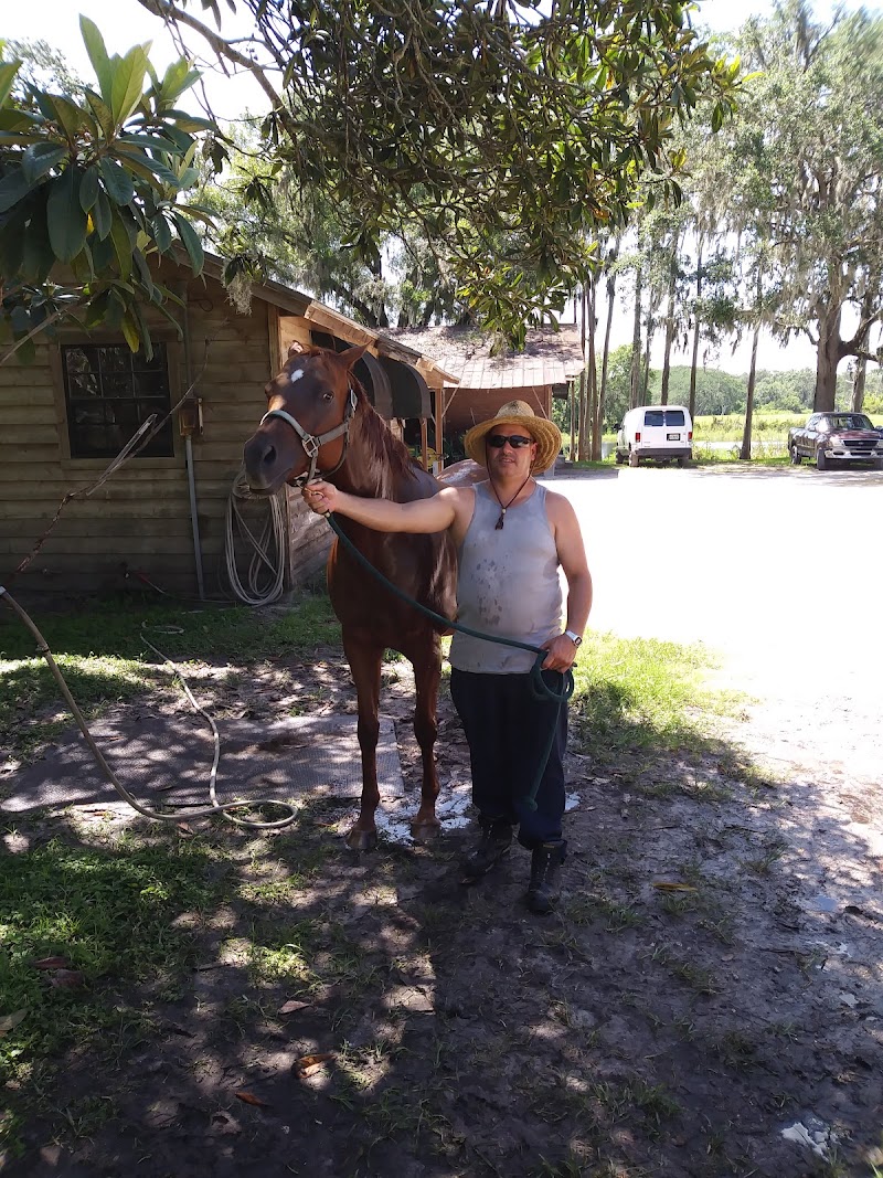 Bay Tree Farm photo 3