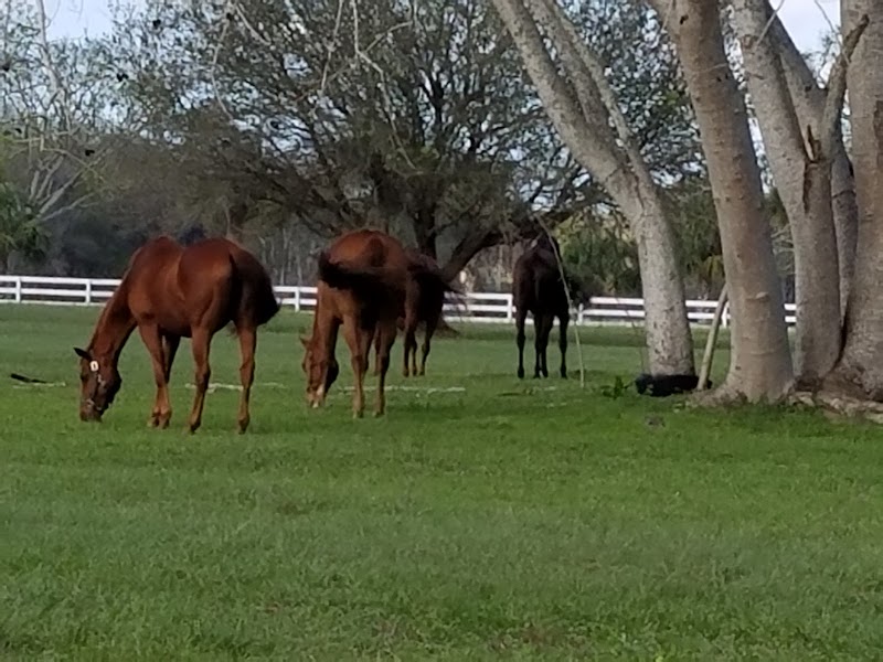Bay Tree Farm photo 2