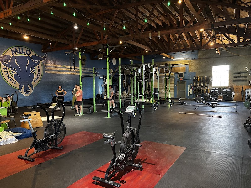 Photo of Milo Fitness Factory