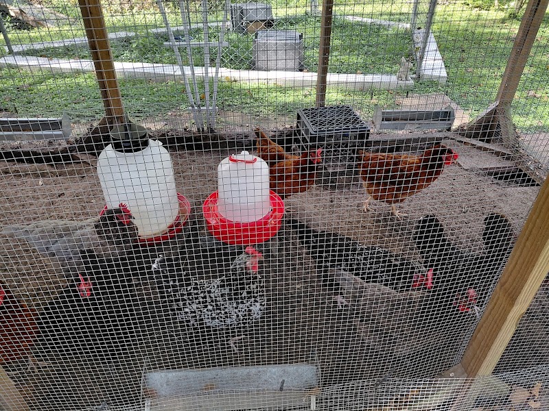 The Remedy Farm photo 4