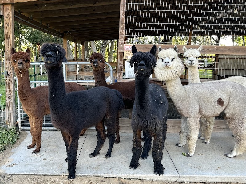 The Remedy Farm photo 2